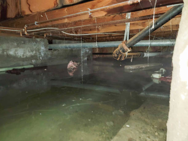 Best Flooded house restoration  in Juneau, WI