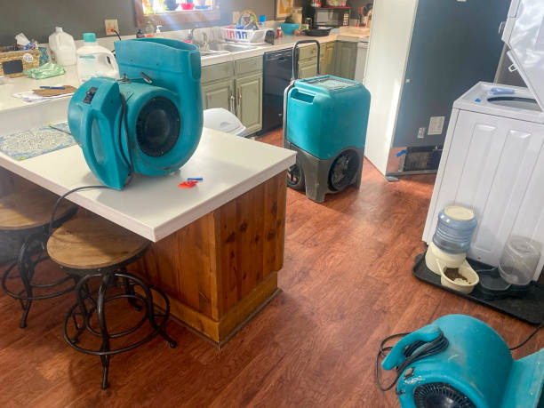 Best Water damage restoration near me  in Juneau, WI