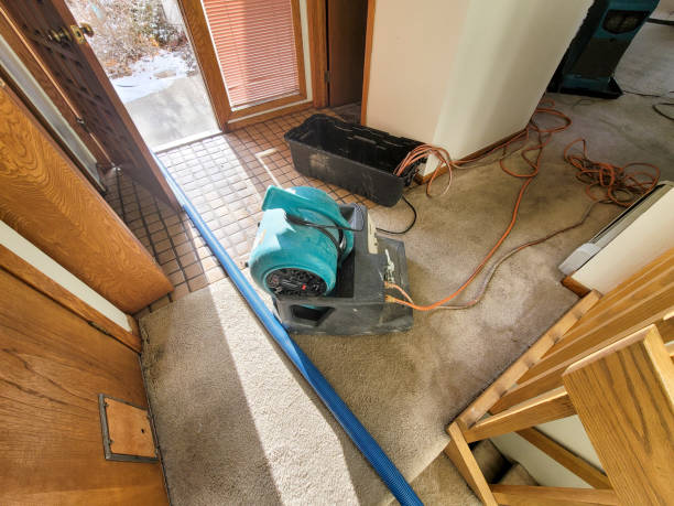 Best Water damage restoration near me  in Juneau, WI