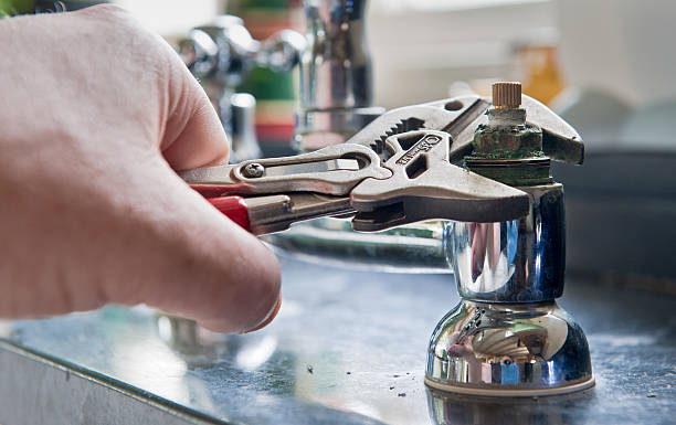 Best Mold removal after water damage  in Juneau, WI
