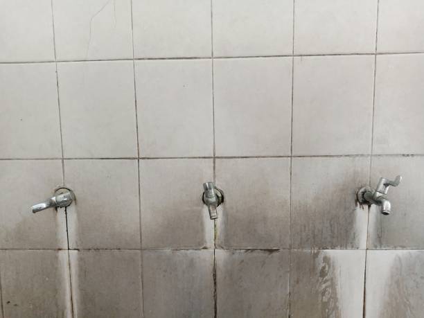 Best Water damage restoration specialists  in Juneau, WI
